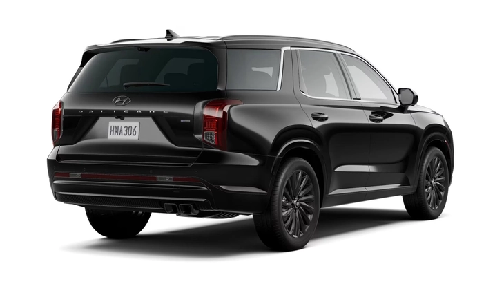 Hyundai Palisade - Ảnh 2.