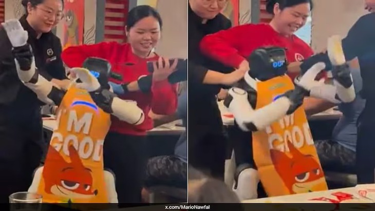 Robot 'quẩy tới bến' giữa nhà hàng nghi do... stress - Ảnh 1.