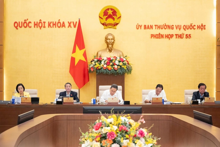 Chính phủ - Ảnh 2.