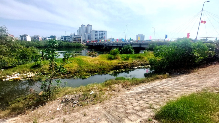 Thống nhất không cho tồn tại cây mọc trái dự án thoát lũ 590 tỉ đồng ở Nha Trang - Ảnh 1.