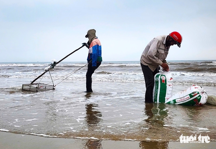 bờ biển - Ảnh 2.