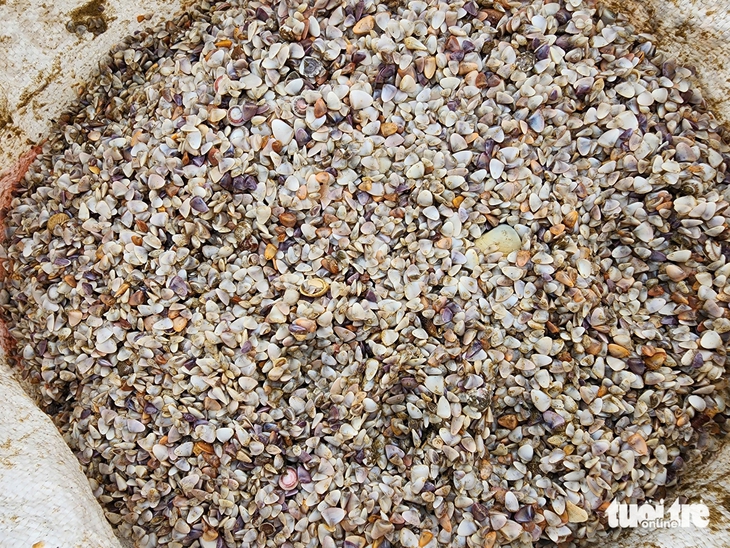 bờ biển - Ảnh 4.