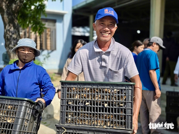 gà giống - Ảnh 6.