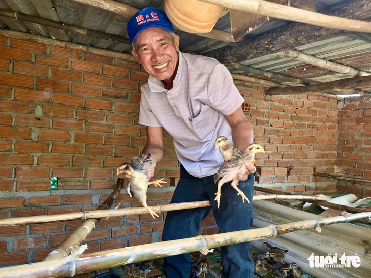 Mất đàn gà sau lũ, người dân Bình Định vui mừng nhận gà giống để tái đàn - Ảnh 7.