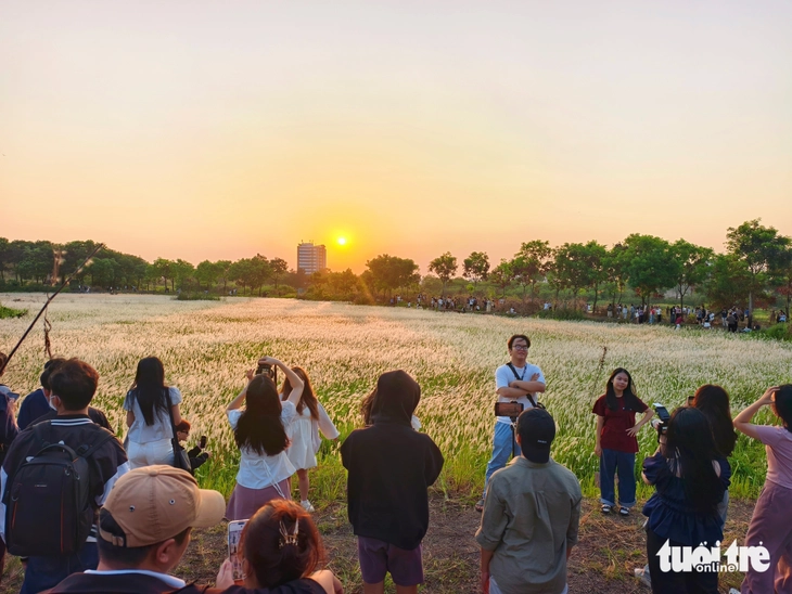 Đồng cỏ thơ mộng tại làng đại học hút khách 'săn' hoàng hôn, check-in - Ảnh 8.