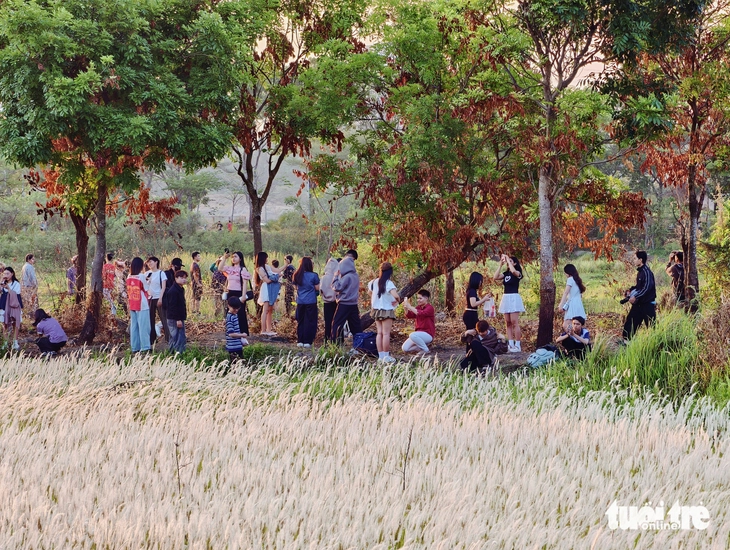 Đồng cỏ thơ mộng tại làng đại học hút khách 'săn' hoàng hôn, check-in - Ảnh 9.