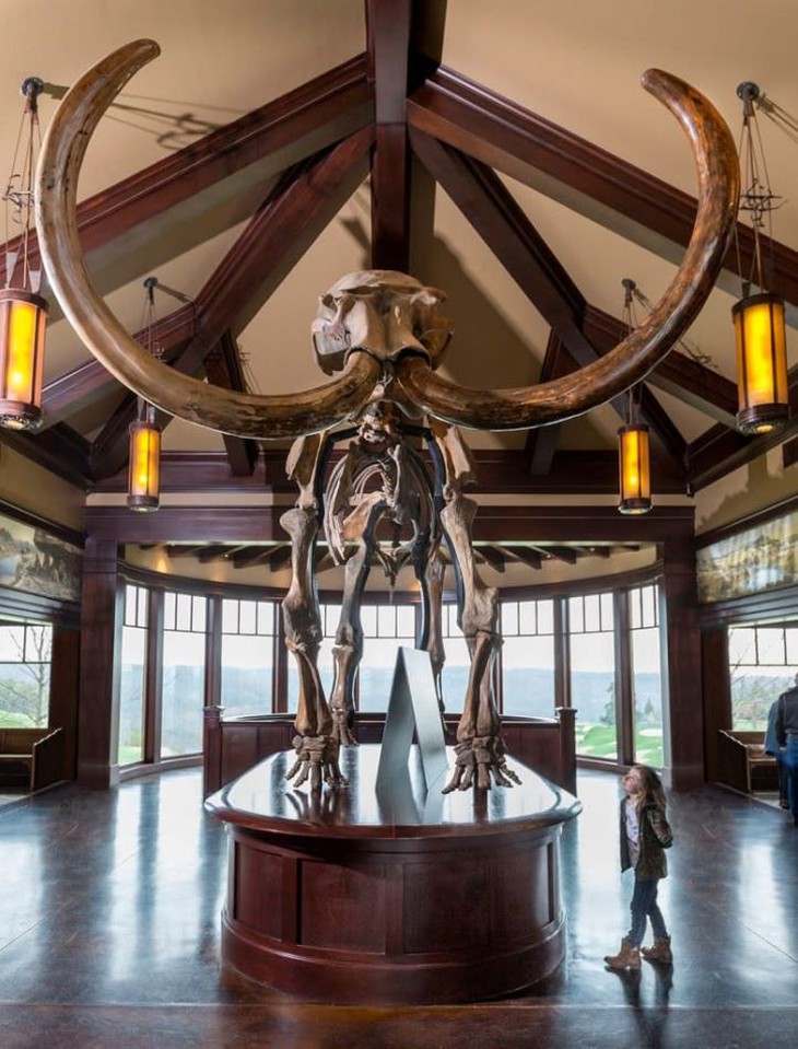 ông chú - Ảnh 1.