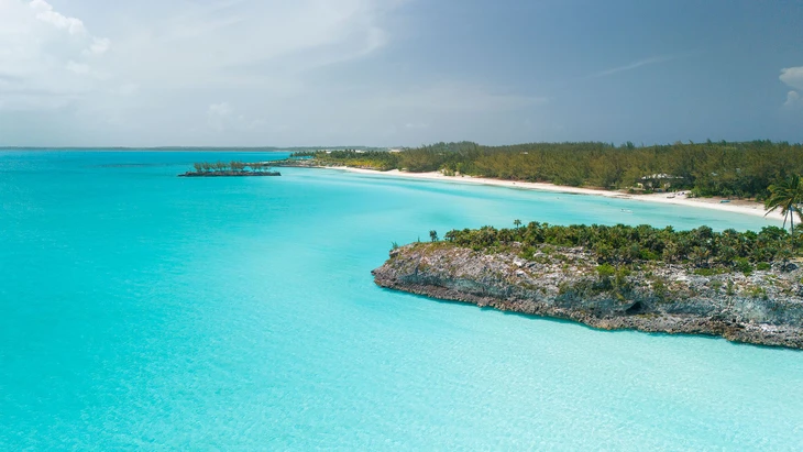 cá mập - Ảnh 2.