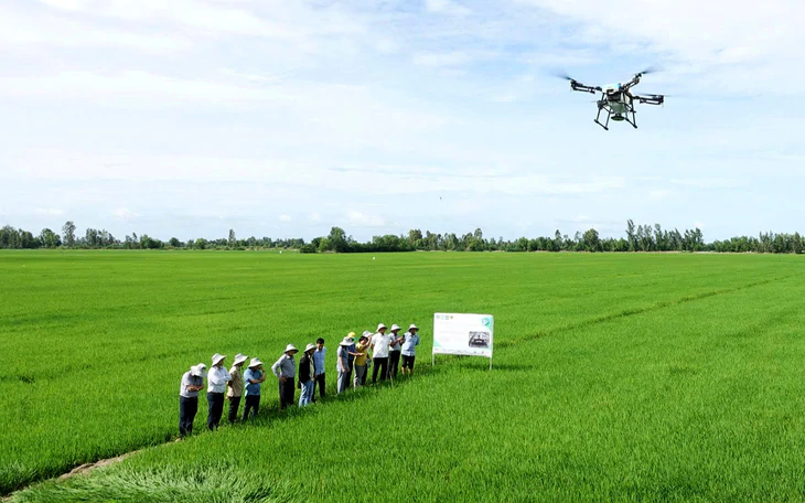 Quyết sách hạt gạo phát thải thấp giúp nông dân miền Tây thành công bền vững - Ảnh 9.