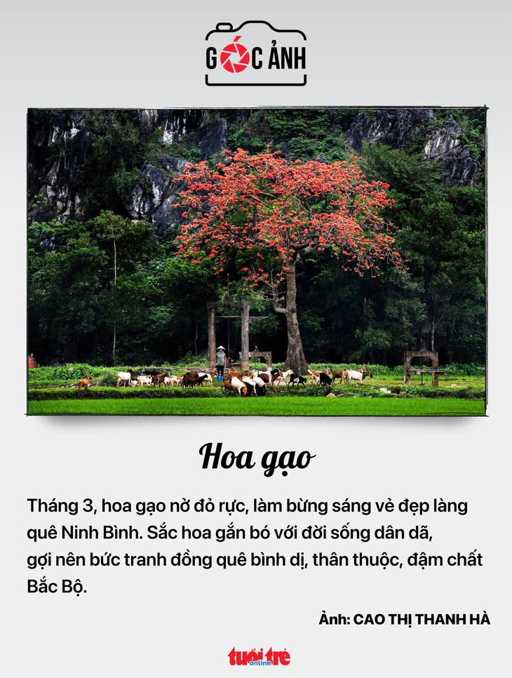 tin tức - Ảnh 6.