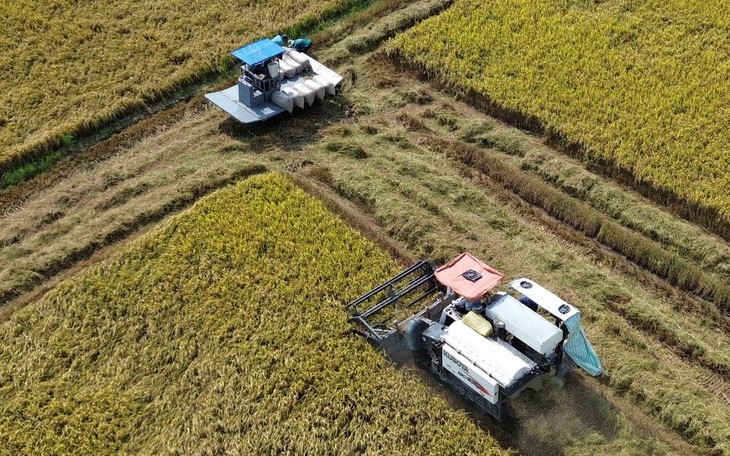 Thời tiết hôm nay 21-3: Nam Bộ nắng nóng, xâm mặn vào tới hơn 50km các sông - Ảnh 2.