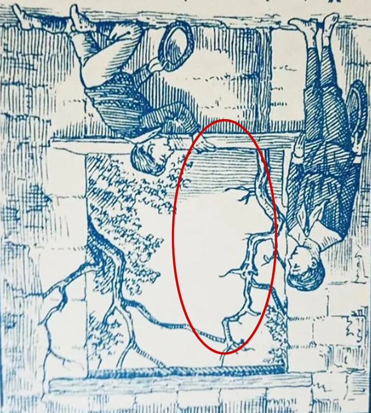 Thử tài tinh mắt - Ảnh 3.