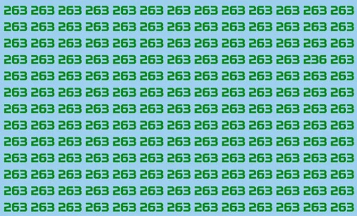 Thử tài tinh mắt - Ảnh 4.