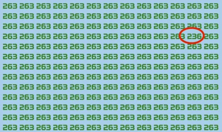 Thử tài tinh mắt - Ảnh 5.