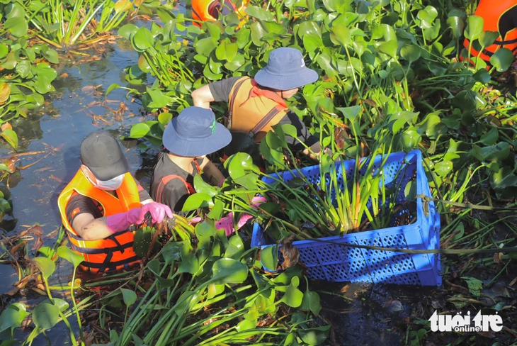 Tháng Thanh niên - Ảnh 1.