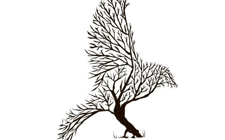 Quiz: Bạn thành công nhờ vào thực lực hay mắn mắn? - Ảnh 2.