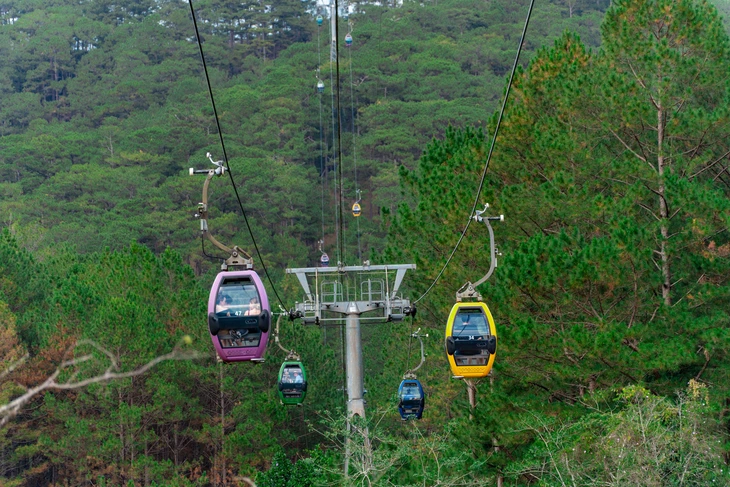 Liên Khương - Ảnh 2.