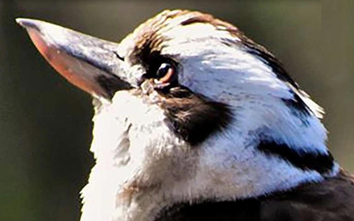 Quiz: Bạn thẳng thắn, nghĩ gì nói nấy? - Ảnh 4.