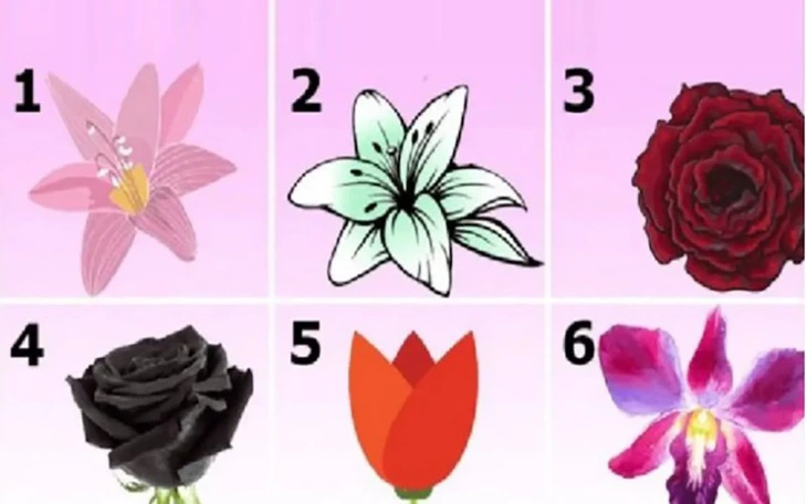 Quiz: Công việc của bạn trong năm mới sẽ thế nào? - Ảnh 4.