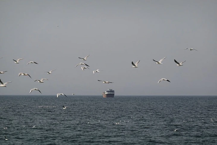 Tin tức thế giới 3-3: Bà Melania Trump chủ trì họp Hội đồng Bảo an; Giá dầu tăng cao - Ảnh 4.