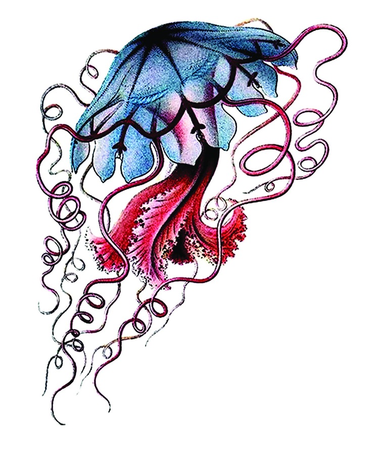 trung quốc - Ảnh 1.