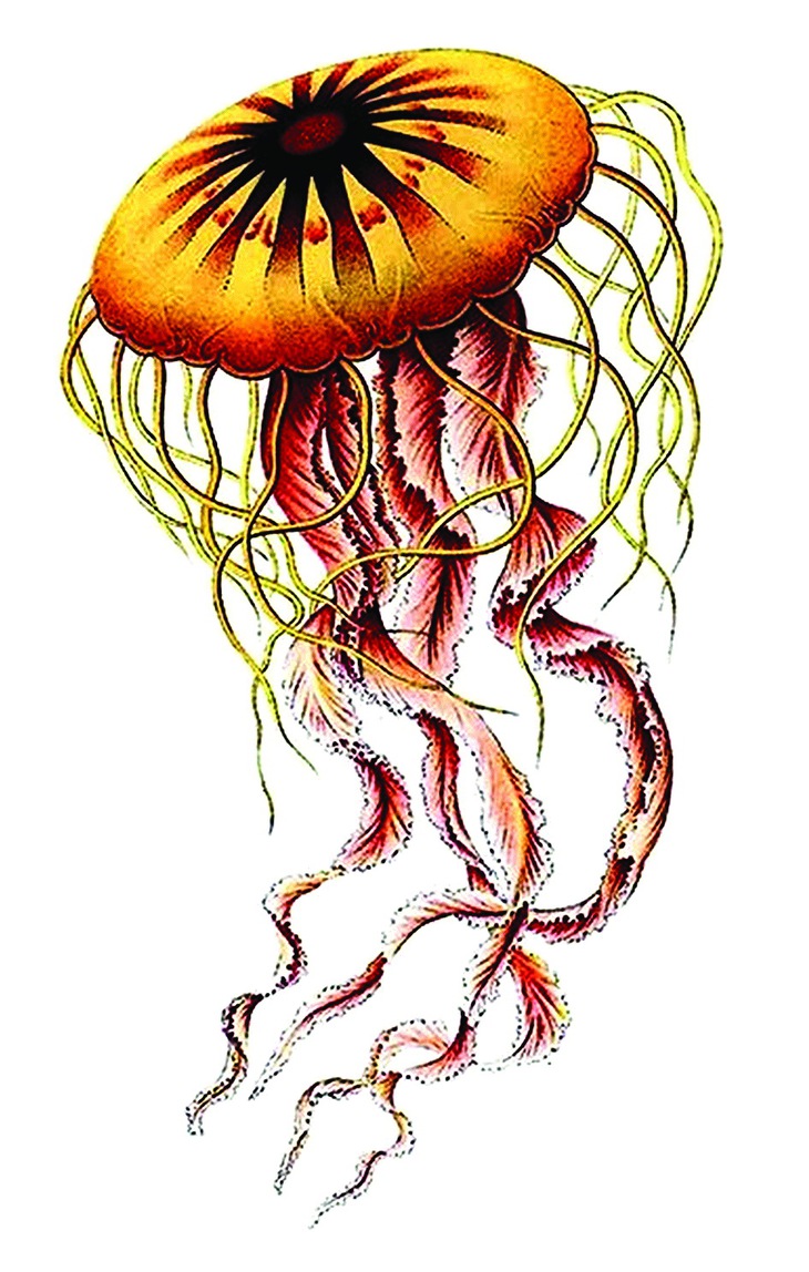 trung quốc - Ảnh 3.