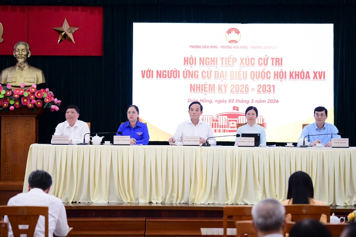 Trần Lưu Quang - Ảnh 2.