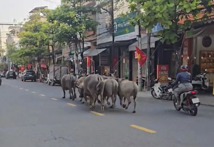 cầu Rồng - Ảnh 3.