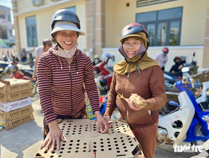 gà giống - Ảnh 4.