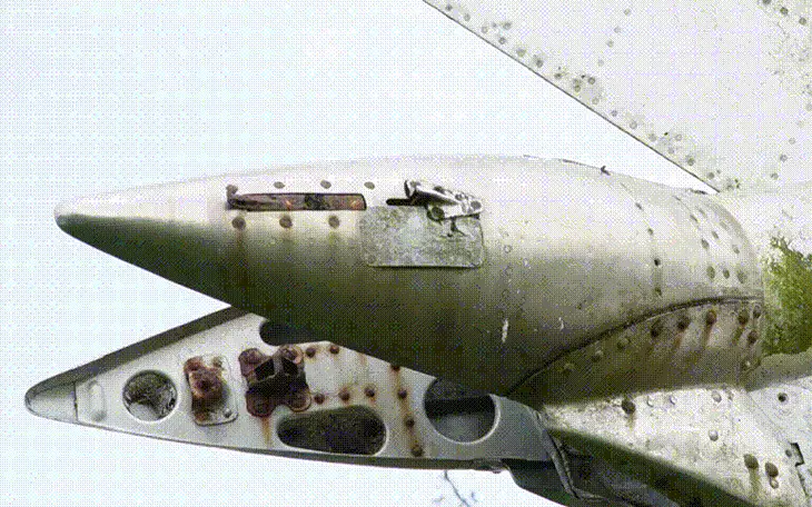 Thông tin mới về nguồn gốc chiếc máy bay MiG-21 ‘bỏ quên’ tại Cà Mau - Ảnh 2.