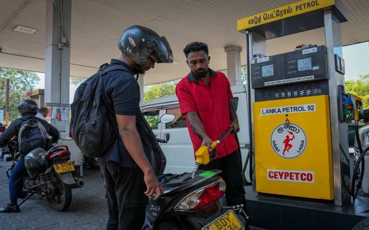 làm việc - Ảnh 1.