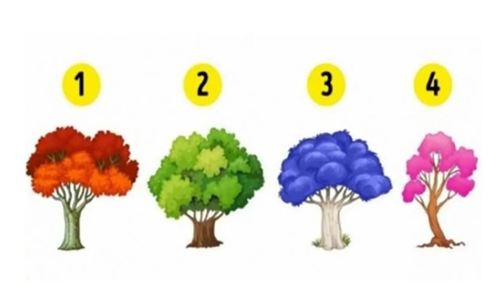 quiz - Ảnh 1.