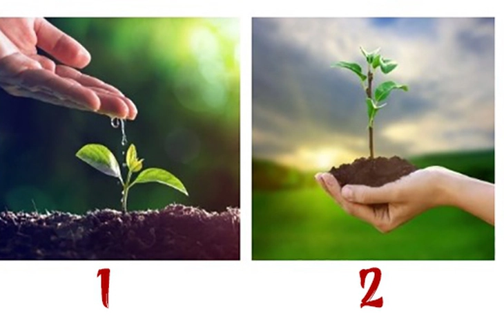 Quiz: Bạn quan tâm người khác một cách chân thành? - Ảnh 2.