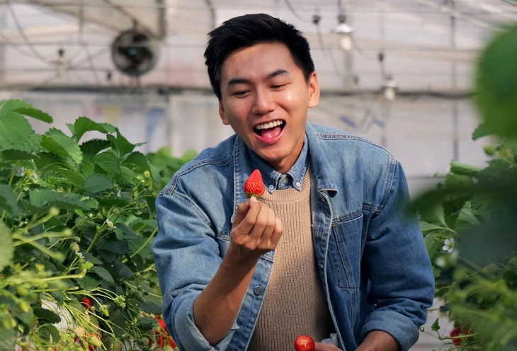 Khoai Lang Thang - Ảnh 3.