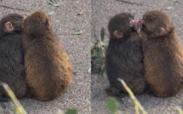 91 tuổi vẫn nói 'em đồng ý' sau 3 tháng gặp cụ ông U70 tại viện dưỡng lão - Ảnh 3.