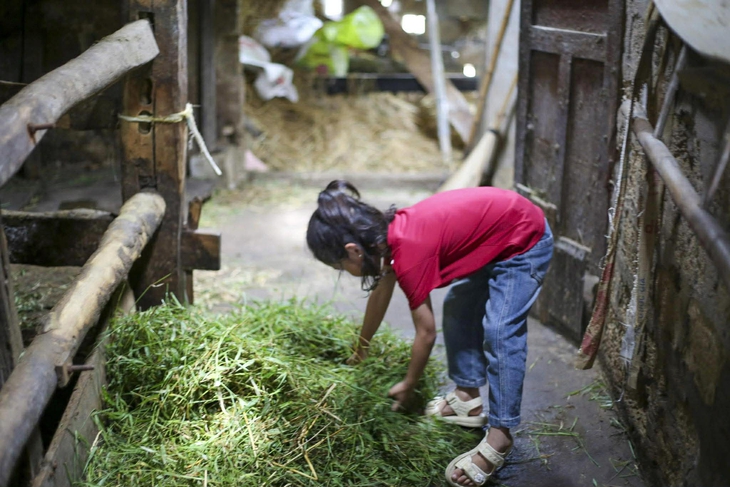phép màu - Ảnh 3.