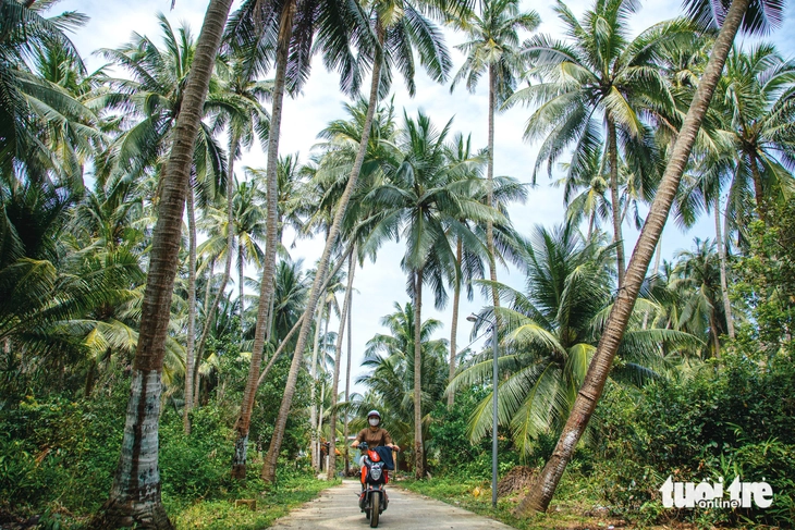 xã đảo - Ảnh 1.