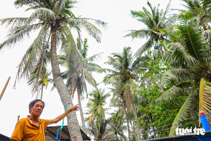 xã đảo - Ảnh 2.