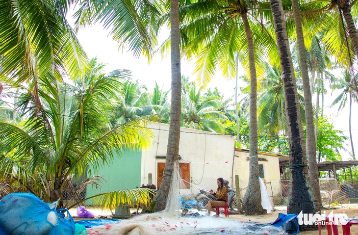 xã đảo - Ảnh 4.