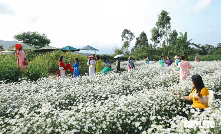 Đà Nẵng - Ảnh 5.