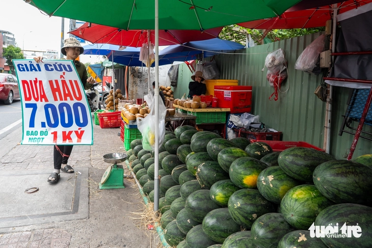 dưa hấu - Ảnh 4.