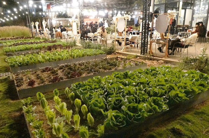 Một đầu mối quản lý an toàn thực phẩm - Ảnh 4. Một đầu mối quản lý an toàn thực phẩm - Ảnh 4.