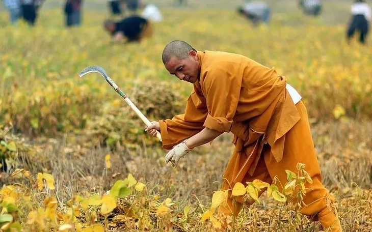 Vì sao Hà Nhuận Đông thường đóng các vai 'thần võ'? - Ảnh 6.