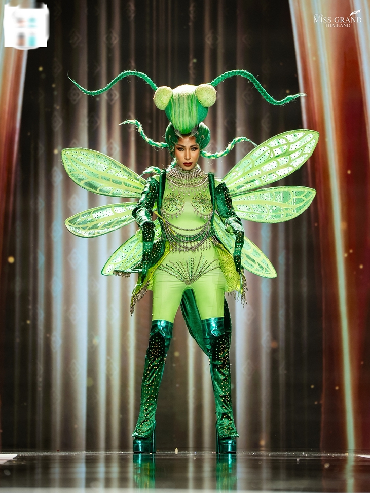 Miss Grand Thailand 2026 - Ảnh 5.