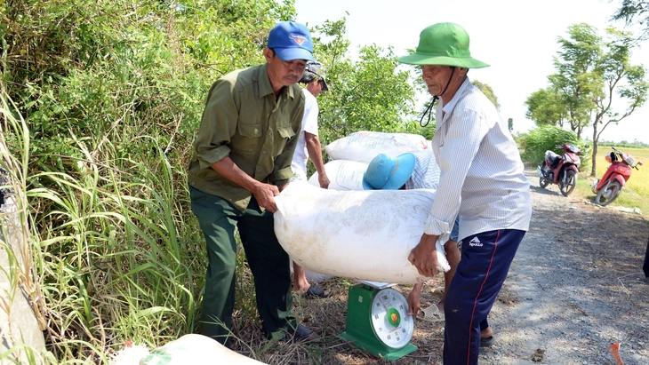 nông sản - Ảnh 1.