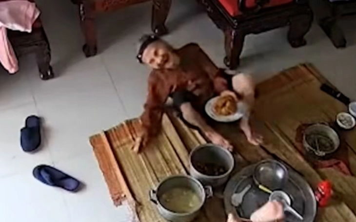 Bị nhốt trong phòng, cụ bà 89 tuổi quyết định... leo từ tầng 27 xuống đất để thoát thân - Ảnh 3.