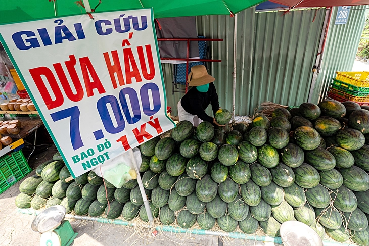 Trái cây rớt giá mạnh - Ảnh 1. giá trái cây - Ảnh 1.