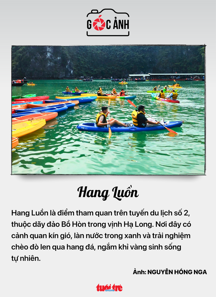 tin tức - Ảnh 5.