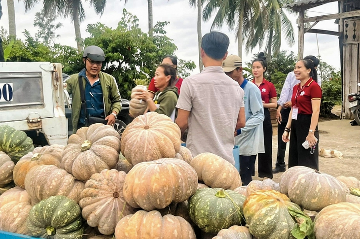 giải cứu - Ảnh 1.