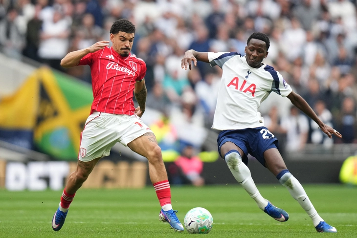 tottenham - Ảnh 2.